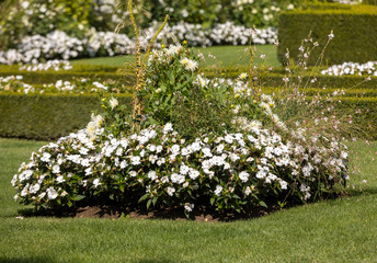 White garden in the picturesque Jardins du Manoir d Eyrignac in Dordogne. France