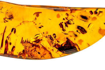 Amber with inclusions in a macro cut out on white background