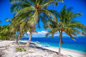 Paradise island scenery. Black (Malajon) island, Coron, Philippines.