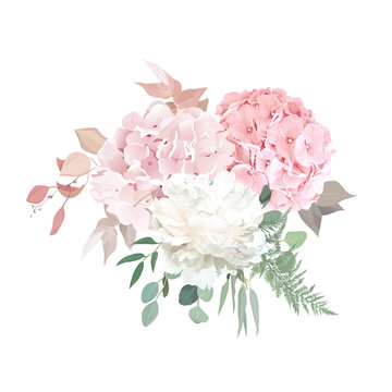 Dusty pink blush, white and creamy hydrangea, peony flowers vector design