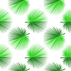 Beautiful background - green palm leaves, seamless vector illustration