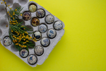 Quail eggs in a container on a yellow background. Easter concept.