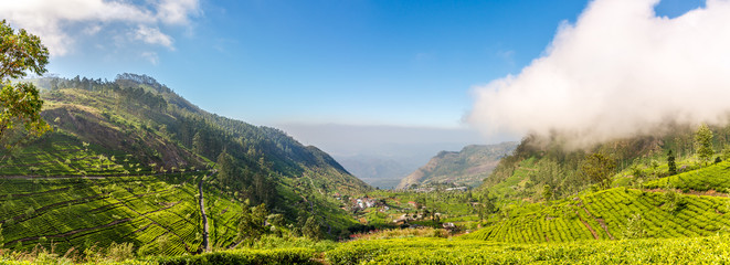 Panoramic view to The Dambethenna valley on Sri Lanka - obrazy, fototapety, plakaty