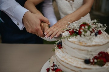 Obraz na płótnie Canvas wedding cake cutting
