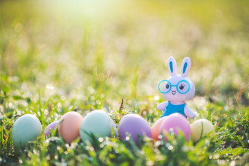 Little Bunny and easter eggs on meadow.