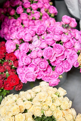 Warehouse refrigerator, Wholesale flowers for flower shops. Roses in a plastic container or bucket. Online store. Floral shop and delivery concept.