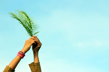 Leaf in hand. Young woman holding fern or palm leaves in hand on bright blue sky background. Palm...