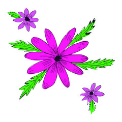 Three flowers with green leaves around the petals.