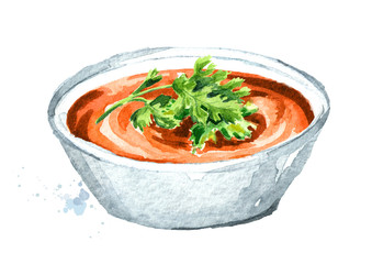 Red lentil cream soup. Hand drawn watercolor illustration  isolated on white background