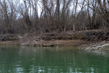 The fishing net for the kidnappers stretched discreetly in the branches near the shore 