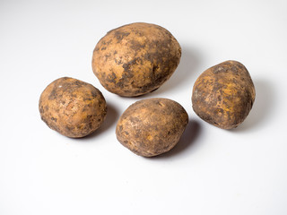 Fototapeta premium Potatoes in the ground on a white background. Studio photography