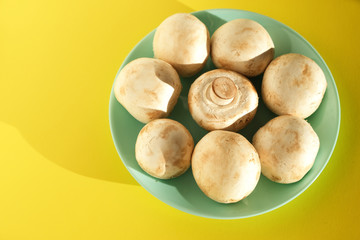 Mushrooms champignons on a yellow background