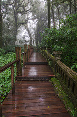 Cool fog make make nature trail bridge wet in the forest