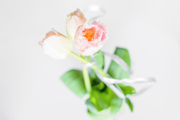 Three Tulips