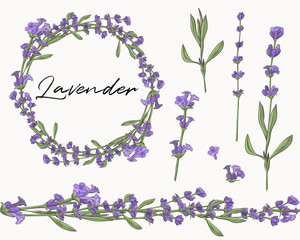 Set of lavender flower elements. Seamless brush. Flower wreath.