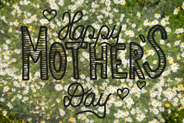 English Calligraphy Happy Mothers Day. Top View Of Daisy Flower Meadow In Spring Season.