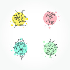 Botanical monoline logo with some pastel color background.