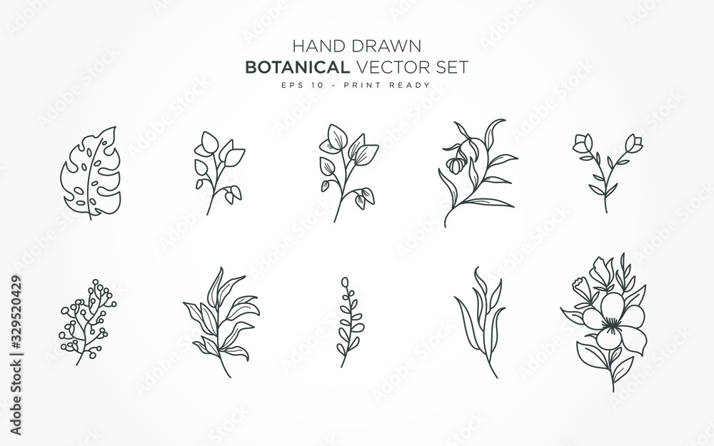 Poster botanical monoline elements vector set with transparent color background.