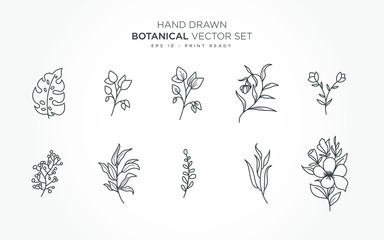 Botanical monoline elements vector set with transparent color background.
