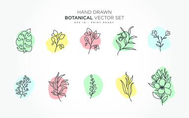 Botanical monoline elements vector set with pastel color background.