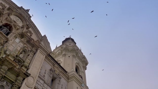Birds flying around bell tower in Lima Cathedral, Lima city, Peru