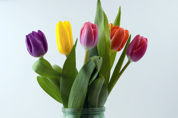 bouquet with tulips stands on a white background