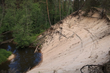 Large sand dune and a narrow small river in a pine forest