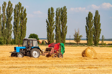 Obraz premium tractor makes big straw roll on yellow field at summer day