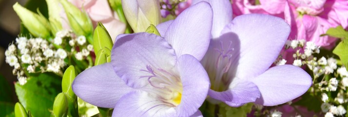 Beautiful spring bouquet with freesia 