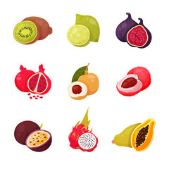 Set of exotic fruits vector illustration isolated on white background. Sliced tropical organic fruit longan, kiwi, fig, lychee, pitaya, pomegranate, papaya. Raw vegetarian food