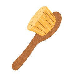 Wooden hair comb with natural bristle, hair and body skin care tool, isolated vector illutration