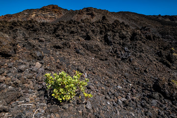 La Palma - la isla bonita 22