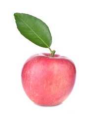 Red  apples isolated on white background