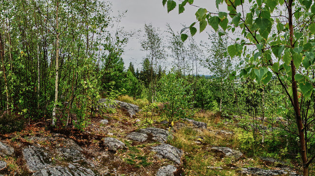 Panoramic view of the city of Sortavala from a hill in a city park: a forest of conifers, traces of volcanic lava, rocks and volcanic rocks. Russia,Karelia,Sortavala.Panorama of the city from a height