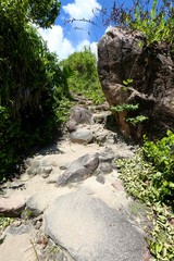 Chemin sur l'île curieuse Seychelles