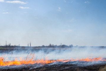 Fototapeta premium Fire on the field, countryside.