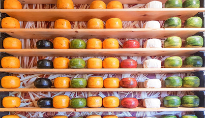 Shelves stocked with different types of cheese, Netherlands.