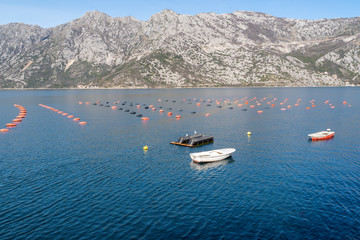 Fototapeta na wymiar Oyster breeding aquatic facility, Adriatic Sea, Montenegro