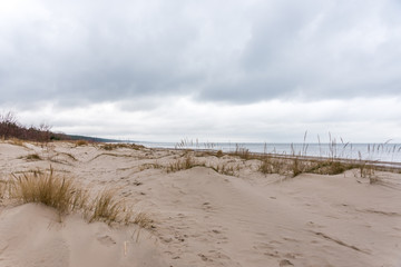 Sand Dunes at a Baltic Sea Beach with Waves in the Winter