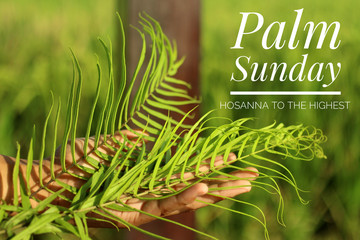 Palm Sunday concept with Christian inspiration quote - Hosanna to the highest. With young woman hand holding fresh fern or palm leaf on blurry green nature background.