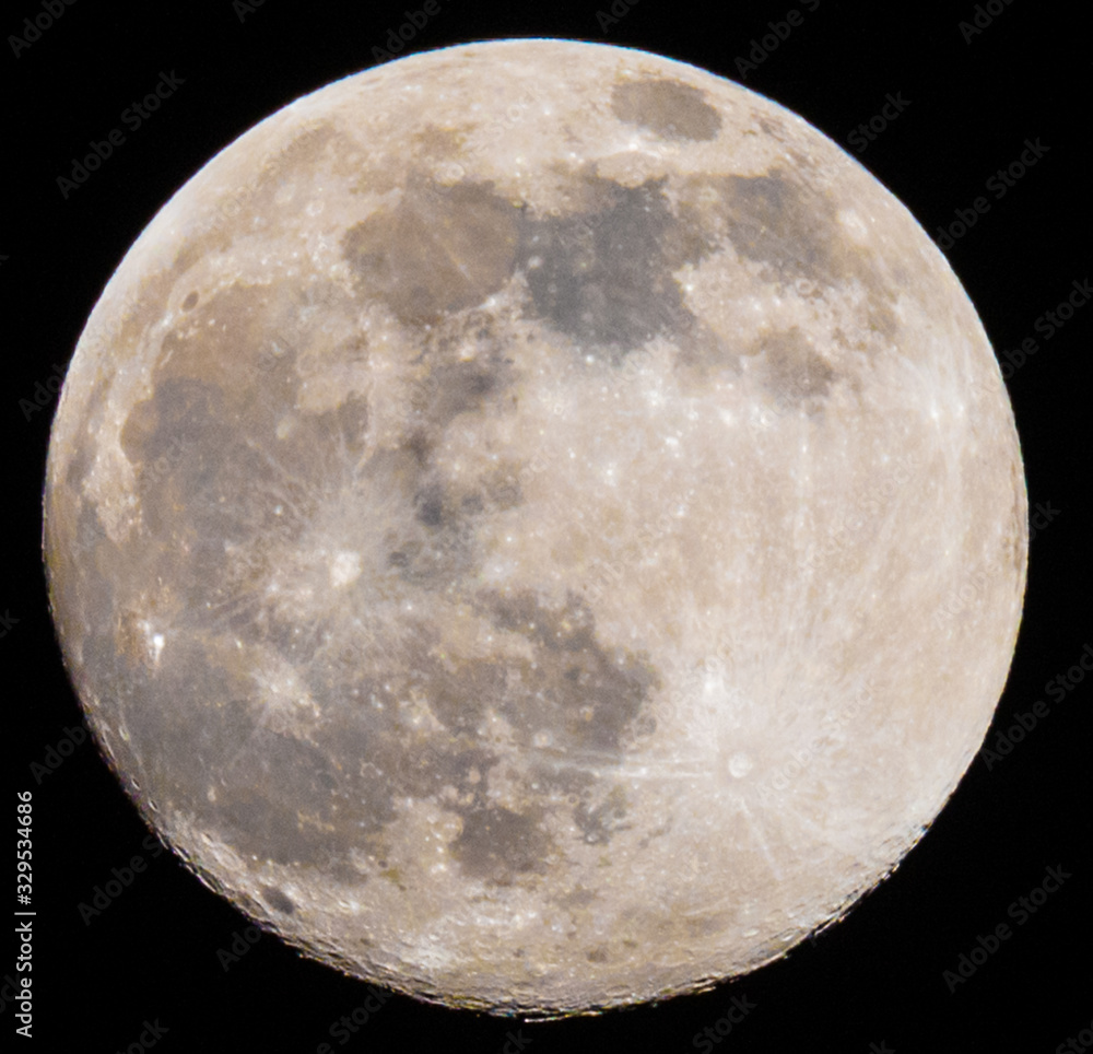 Wall mural closeup of a full moon in a black sky