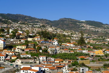 Fototapeta premium Funchal hillsides and houses, Funchal, Madeira, Portugal