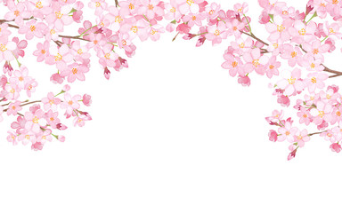 Obraz na płótnie Canvas 桜のアーチ型フレーム　水彩イラスト