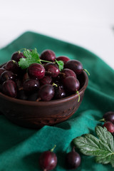 fruit