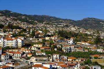Fototapeta na wymiar Funchal hillsides and houses, Funchal, Madeira, Portugal