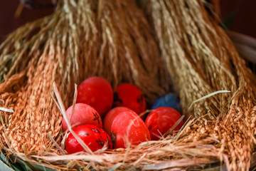 Colorful beautiful easter eggs in nest. Easter concept