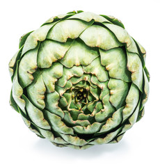 Obraz premium Artichoke flower edible bud isolated on white background.