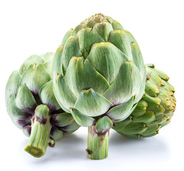 Fototapeta premium Artichoke flower edible buds isolated on white background.