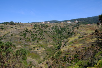 Fototapeta na wymiar Hills near Prazeres, Madeira Island, Portugal