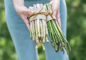 Poster Bundle of white and green asparagus in famer's hands. © volff